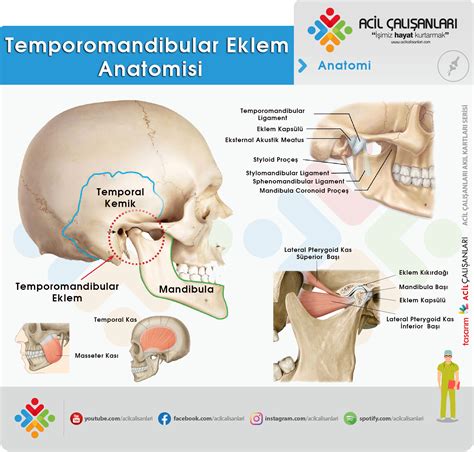 temporomandibular eklem teşhisinin artroz-artriti